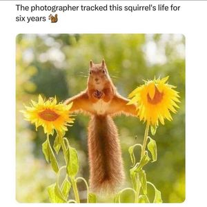 Image post by @shopearthhero on Instagram