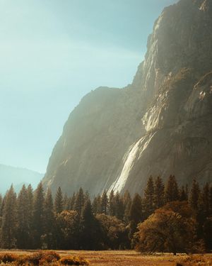 Image post by @natenvnez on Instagram