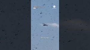 Video post by @accuweather on YouTube