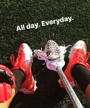 Image post by @utampalacrosse on Instagram