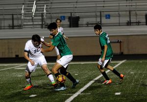 Image post by @molmo.photo on Instagram
