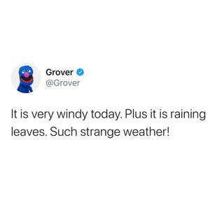 Image post by @sesamestreet on Instagram