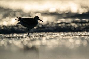 Image post by @huntsphotovideo on Instagram