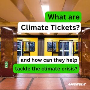 Image post by @greenpeace on Instagram