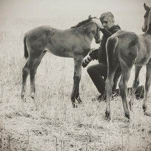 Image post by @gundyparkequine on Instagram