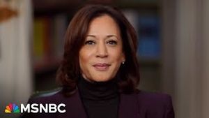 Video post by @msnbc on YouTube