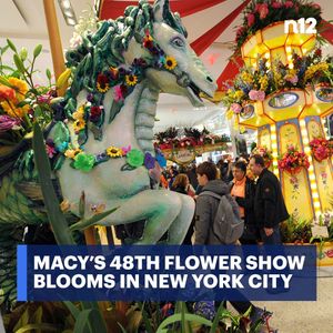 Image post by @news12li on Instagram