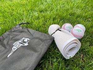 Image post by @GoWoodDucks on Twitter/X