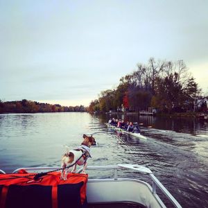 Image post by @cusewrowing on Instagram