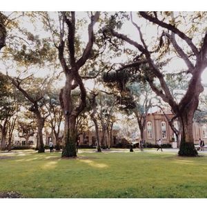 Image post by @collegeofcharleston on Instagram