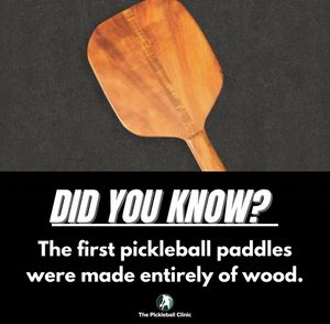 Image post by @thepickleballclinic on Instagram