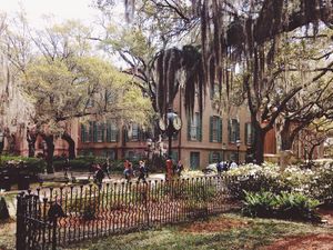 Image post by @collegeofcharleston on Instagram