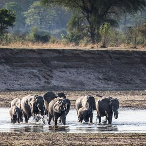 Image post by @chiawasafaris on Instagram