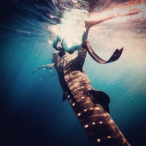 Image post by @discovery on Instagram