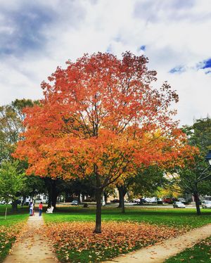 Image post by @yalesoftball on Instagram