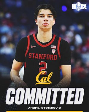 Image post by @br_hoops on Instagram