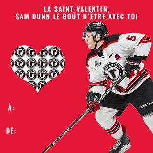 Image post by @quebec_remparts on Instagram