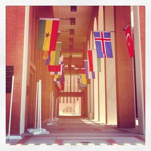 Image post by @uscdornsife on Instagram