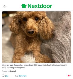 Image post by @nextdoor on Instagram