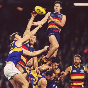Image post by @adelaide_fc on Instagram