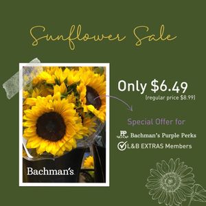 Image post by @shopbachmans on Instagram