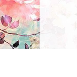 Image post by @amaliah_com on Instagram