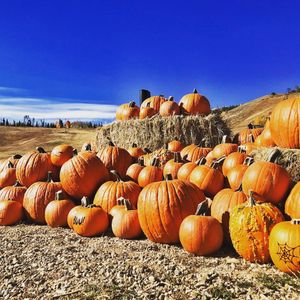 Image post by @granbyranch on Instagram