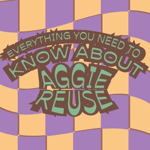 Image post by @aggiereusestore on Instagram