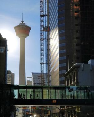 Image post by @cityofcalgary on Instagram