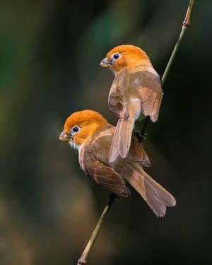 Image post by @discovery on Instagram