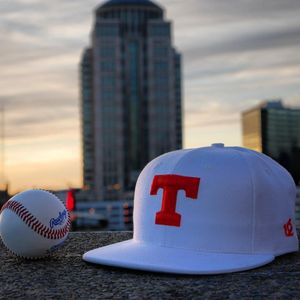 Image post by @rawlingstigers on Instagram