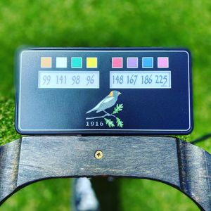 Image post by @flagdgolf on Instagram