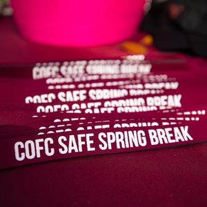 Image post by @collegeofcharleston on Instagram