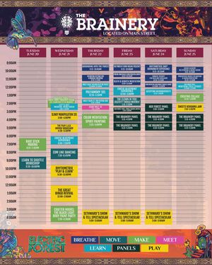 Image post by @electric_forest on Instagram