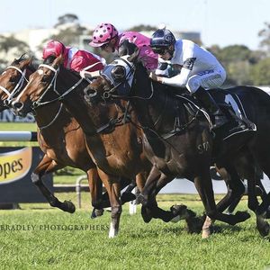 Image post by @australianturfclub on Instagram