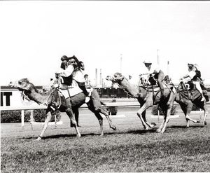 Image post by @australianturfclub on Instagram
