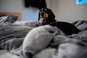 Image post by @bycorrigan on Instagram