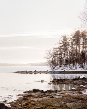 Image post by @themainemag on Instagram