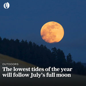 Image post by @theoregonian on Instagram