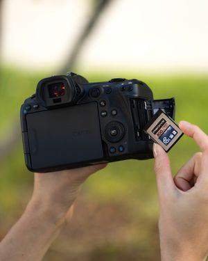 Image post by @progradedigital on Instagram