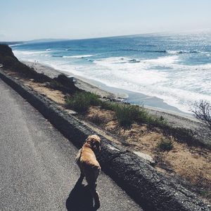 Image post by @sweetannieod on Instagram