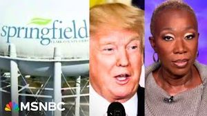 Video post by @msnbc on YouTube