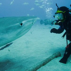 Image post by @discovery on Instagram