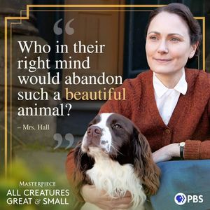 Image post by @wqlnpbsnpr on Instagram
