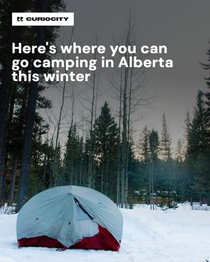 Image post by @curiocitycalgary on Instagram