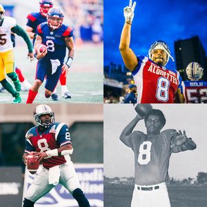 Image post by @mtlalouettes on Instagram