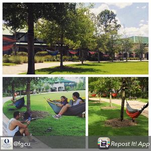 Image post by @fgcu_xc on Instagram