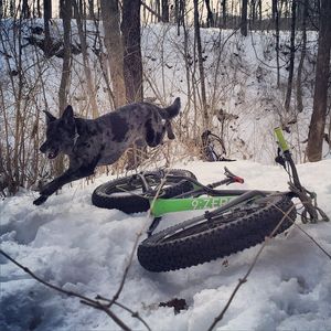 Image post by @bikerumor on Instagram