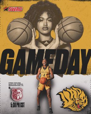 Image post by @uapblionswbb on Instagram