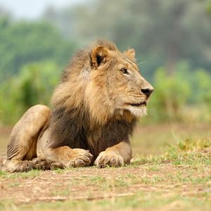 Image post by @chiawasafaris on Instagram
